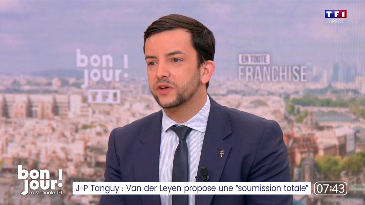 Condamnation de Marine Le Pen : "M. Attal a ruiné la France et donne des leçons", Jean-Philippe Tanguy Ⓜ️ répond à Gabriel Attal après son "tu voles, tu payes !" lancé à la cheffe de file du Rassemblement national #BonjourLaMatinaleTF1