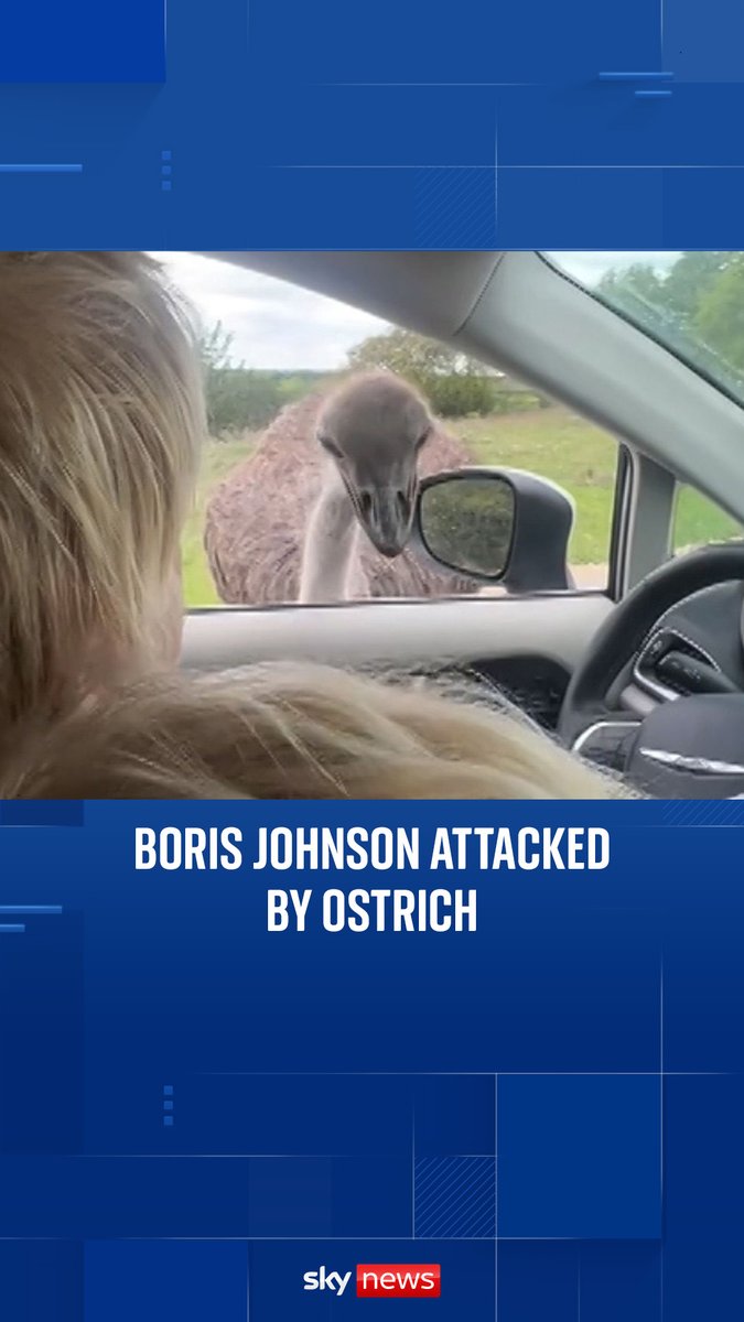 Boris Johnson was bitten by an ostrich as he drove through a safari park with his son.