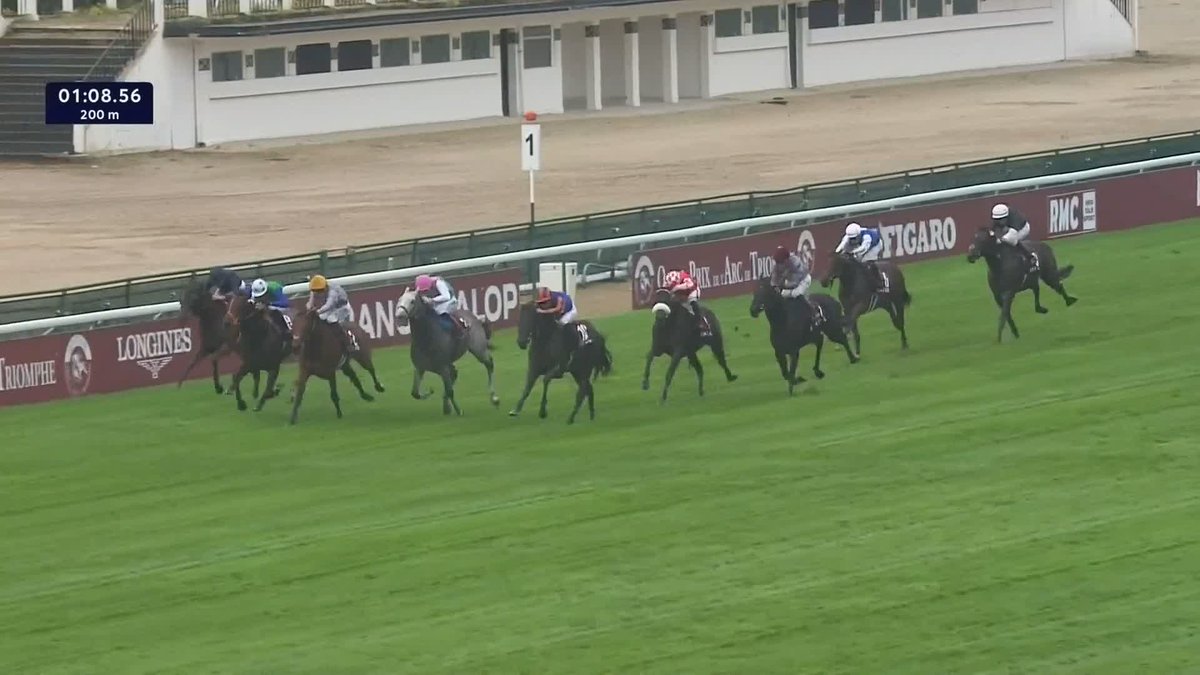 Rashabar is Newbury Racecourse ready! 🙌 Brian Meehan Limited looks ahead to the Coventry winner's run in the Greenham Stakes on Saturday...