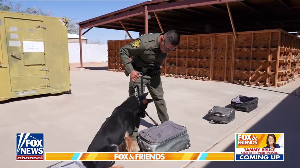 .FOX & Friends co-host Lawrence Jones III gets a firsthand look at the training behind the CBP K-9 unit.