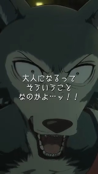 / 4/9は #レゴシ の誕生日!🎉 名場面を公開!🎥 \ 「大人になるってそういうことなのかよ…ッ!!」 レゴシはこの世界の現実に 怒りをあらわにする。 ▽公式Tiktokはこちらから! ▽Youtubeショートでも公開中! #bstanime #birthday