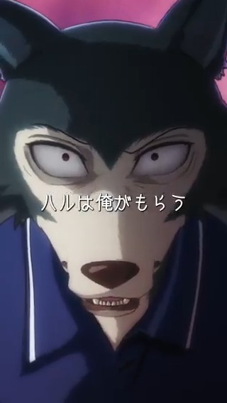 / 4/9は #レゴシ の誕生日!🎉 名場面を公開!🎥 \ 「ハルは俺がもらう」 攫われたハルを見捨てようとするルイ。 レゴシはその怒りをぶつけ、ルイに宣言する。 ▽公式Tiktokはこちらから! ▽Youtubeショートでも公開中! #bstanime #birthday