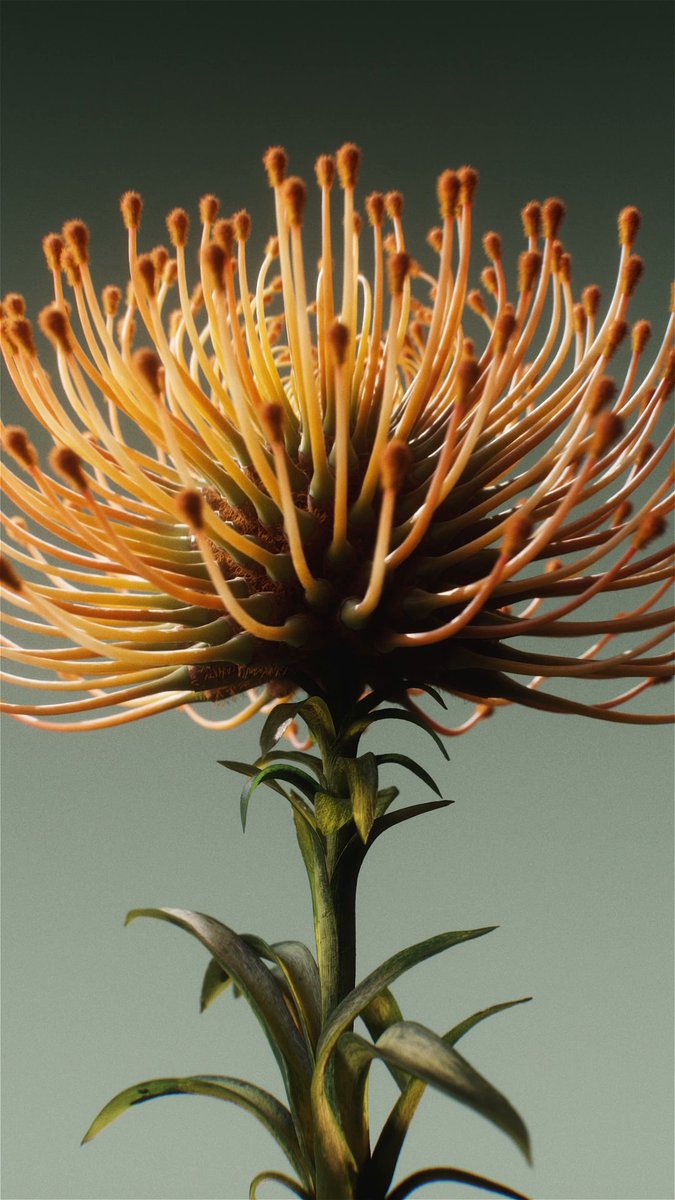 In Faux Flora, @zacharycorzine combines his love of nature and technology to create digital flowers that are both familiar and mysterious 🌺