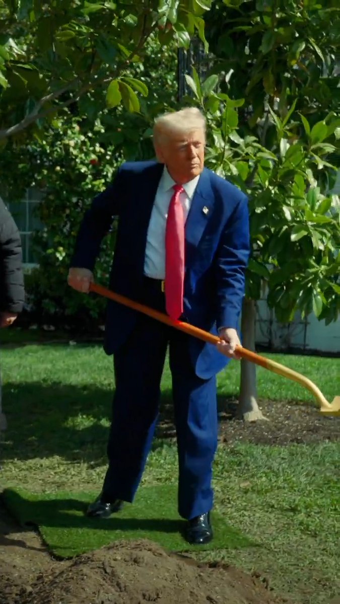 President Donald J. Trump planted a new MAGAnolia sapling at the White House — a direct descendant of the historic "Jackson Magnolia." 🌳🇺🇸