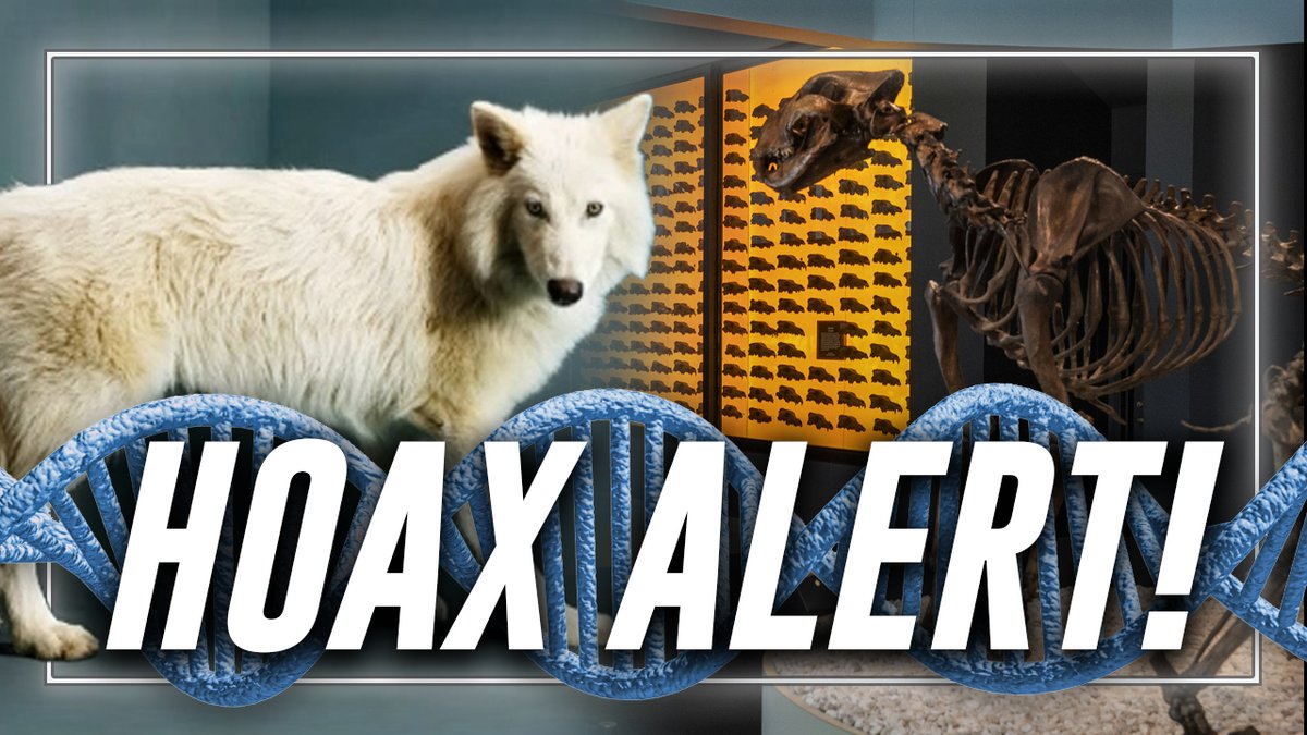 HOAX ALERT! The Dire Wolf Species Has NOT Been Resurrected From Extinction! Dallas Based Colossal Biosciences Genetic Engineering Company Has Simply Injected Some Of The Dire Wolf's Genome Into A Modern Wolf Species & Created A Mutant Hybrid In This Vital Report, Alex Jones Lays Out What's Really Happening On The Frontiers Of Genetic Engineering, Including Animal-Human Hybrids Already Being Mass-Produced For Organ Harvesting » LIVE X STREAM: