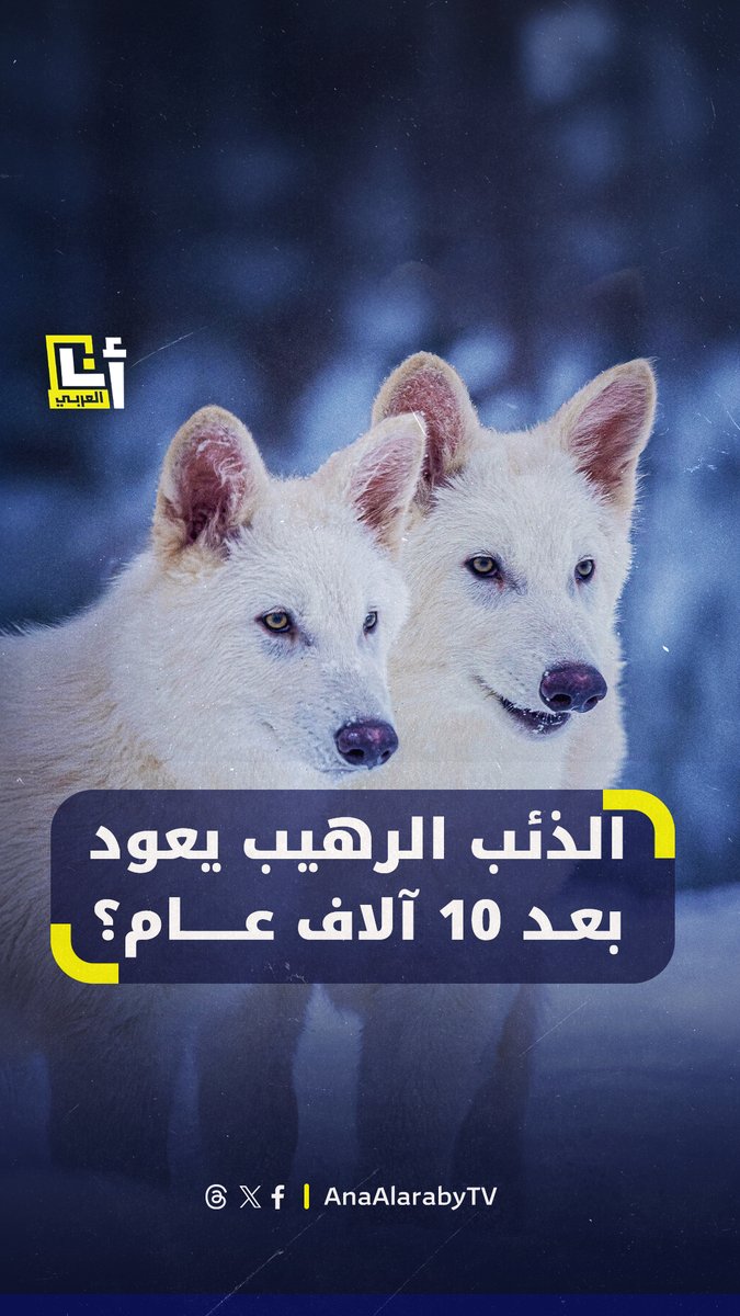 إعادة إحياء حيوان منقرض من أكثر من ١٠ آلاف عام !! نعم الإنسان مازال يعزز لغروره بشتى الحيل لكن هل هذا العلم أخلاقي؟! أنا من الفريق العلمي الذي لا يجيز فعل هذا الأمر ويراه تلاعبًا بفيزيائية وكيميائية توازن الحياة، فانتقاء الطبيعة لم يكن عبثًا أو محض صدفة.