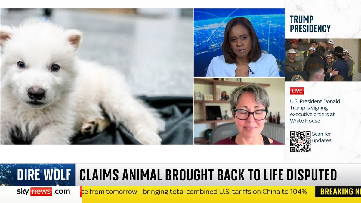 "We're facing a time where 50% of species are predicted to become extinct within the next 50 years" Colossal Biosciences CSO Beth Shapiro talks to Gillian Joseph about the risks of "de-extincted" dire wolves Full story ➡️ 📺 Sky 501