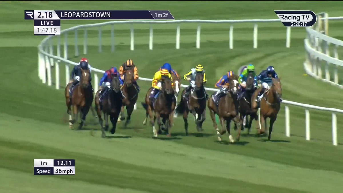 😍 A very taking debut from the Galileo colt. STAY TRUE well backed in the market makes an impressive winning debut under Ryan Moore for Aidan O'Brien. GUN CARRIAGE ran okay on debut, albeit looking quite one paced in the closing stages, he can improve.