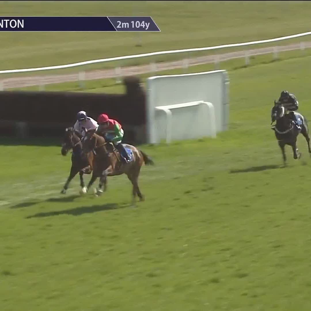 ✅ Off the mark Nardaran, a son of Arc winner Waldgeist, opens his account over timber at the third time of asking Taunton Racecourse & Conference Centre | Harry Cobden | Paul Nicholls OBE