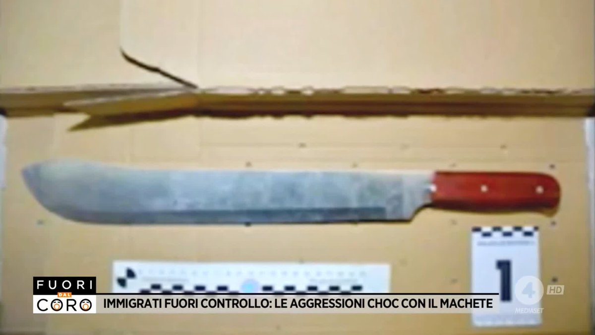 Comprare un machete in Italia, attrezzo utilizzato come arma pericolosissima da molti immigrati violenti, è molto facile. Il servizio di Costanza Tosi a #Fuoridalcoro è su Mediaset Infinity