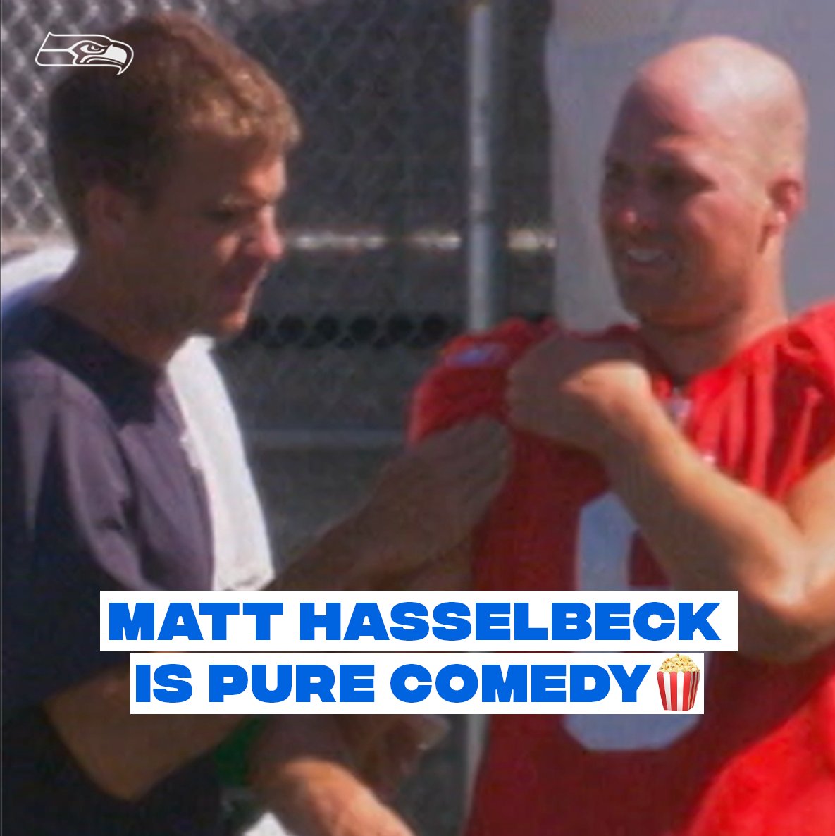 Man vs. bee 🐝 Seahawks Legends | Matt Hasselbeck