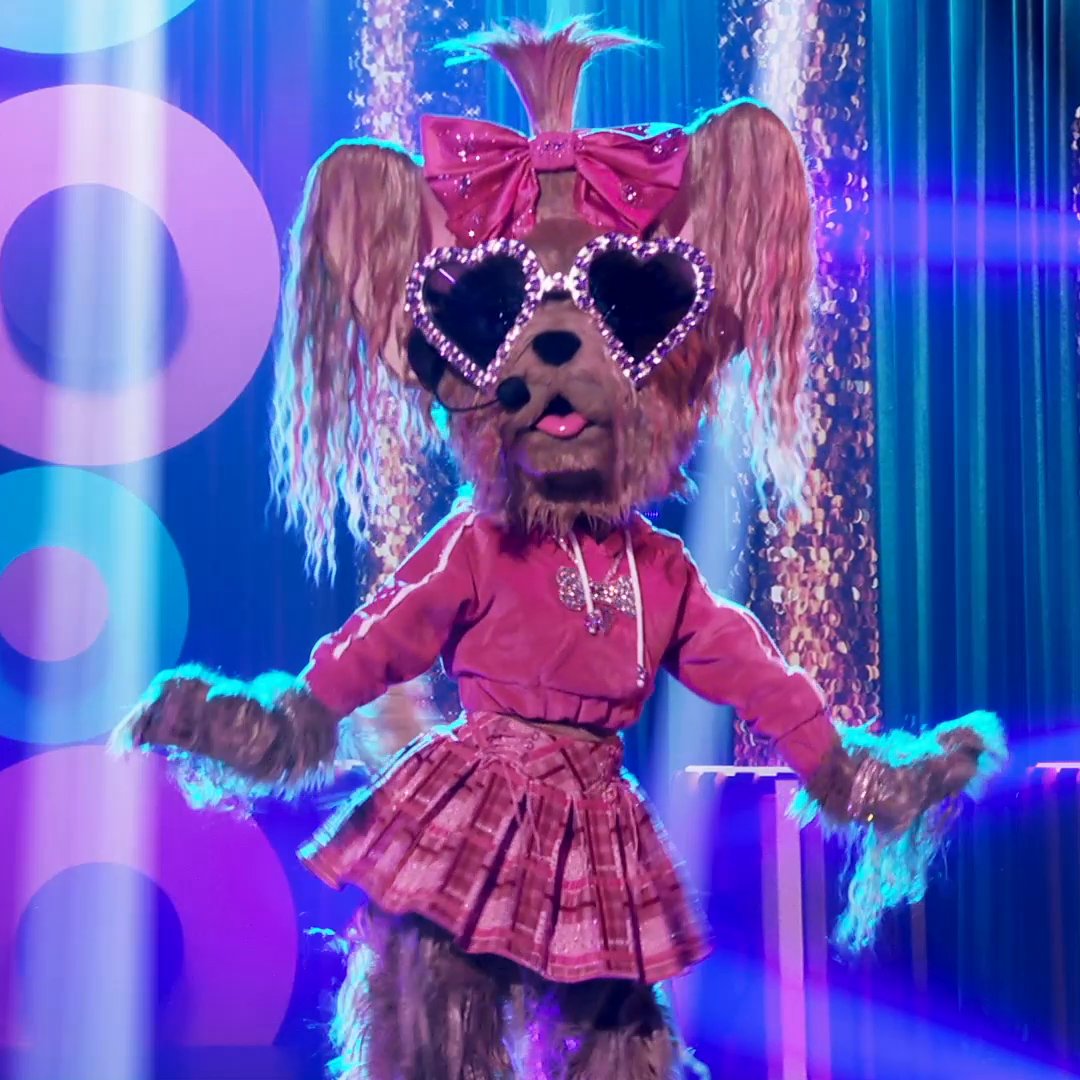 #YorkieMask just served us vocals AND diva realness — paws-itively iconic! 🐾 #TheMaskedSinger