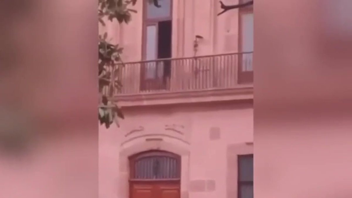 ¿Fantasmas? Una mujer, aparentemente desnuda, fue captada en uno de los balcones del Palacio de Gobierno de San Luis Potosí. El gobernador Ricardo Gallardo aseguró que ese salón está vacío y que podría tratarse del "fantasma de la emperatriz #Carlota". ¿Ustedes qué opinan?
