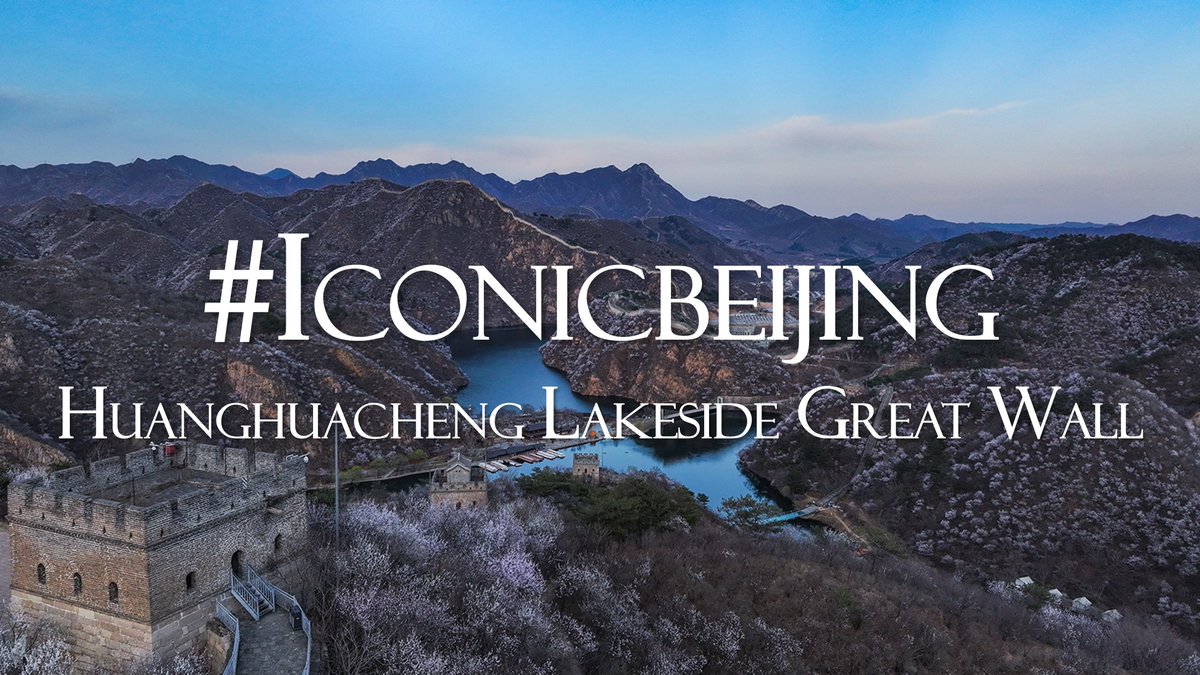 The Huanghuacheng Lakeside #GreatWall in Huairou is the only section in #Beijing connected to water. The Wall winds through mountains and extends into Haoming Lake, creating the "Great Wall under the water" view. In #spring, flowers and greenery surround the walls. #VisitBeijing