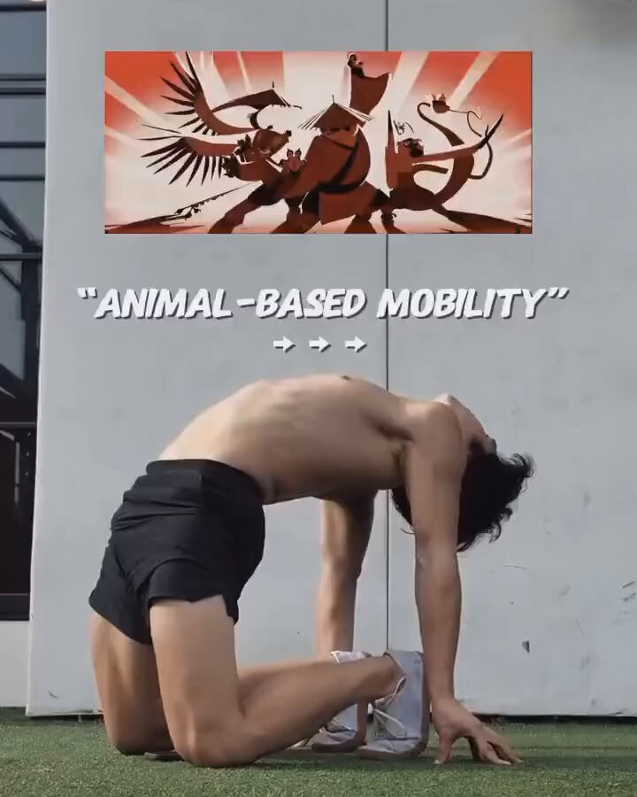 Animal-Based Stretches To Improve Joint Health, Flexibility, &amp; Movement Control💯 Start moving better with these💯💪👇