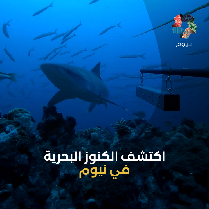 هل سمعت من قبل عن تقنية تصوير فيديو عن بعد تحت الماء باستخدام الطعم؟ تعتمد #نيوم هذه التقنية للكشف عن خفايا أعماق الحياة البحرية وتتبّع سلوكيات الكائنات وصحة النظام البيئي 🦈🩵