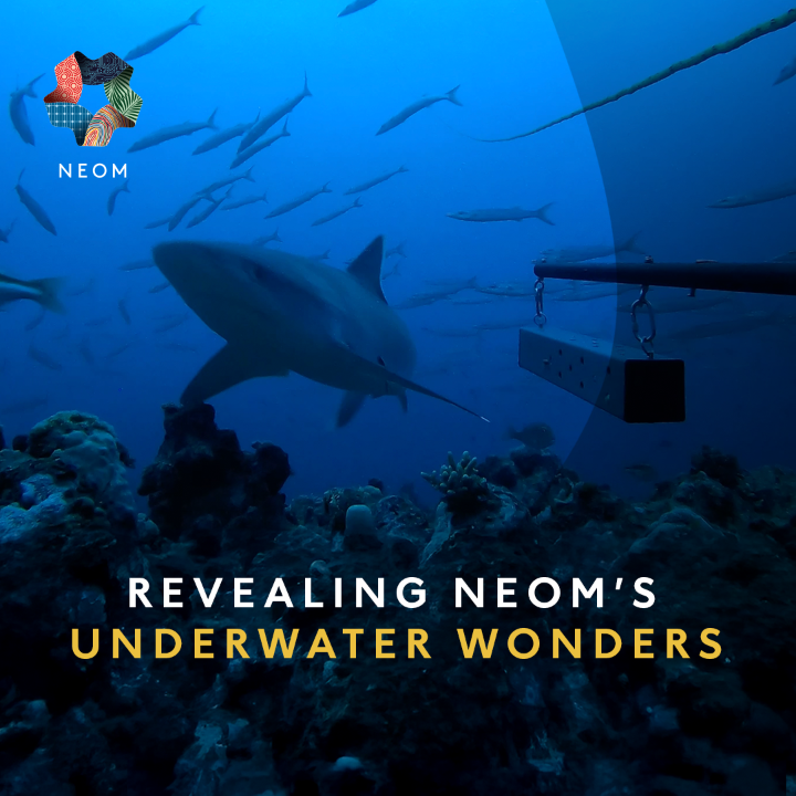 Have you ever heard of BRUVs? #NEOM is using Baited Remote Underwater Videos (BRUVs) to study marine life in a non-invasive way. These underwater cameras capture stunning footage of marine life to help us understand and protect the Red Sea’s rich biodiversity🦈🩵