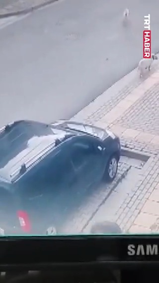 Bursa'da başıboş sokak köpekleri çocuğa saldırdı.