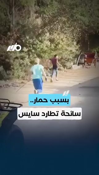 بسبب #حمار.. سائحة أجنبية تطارد #سايس في #الجيزة #مزيد