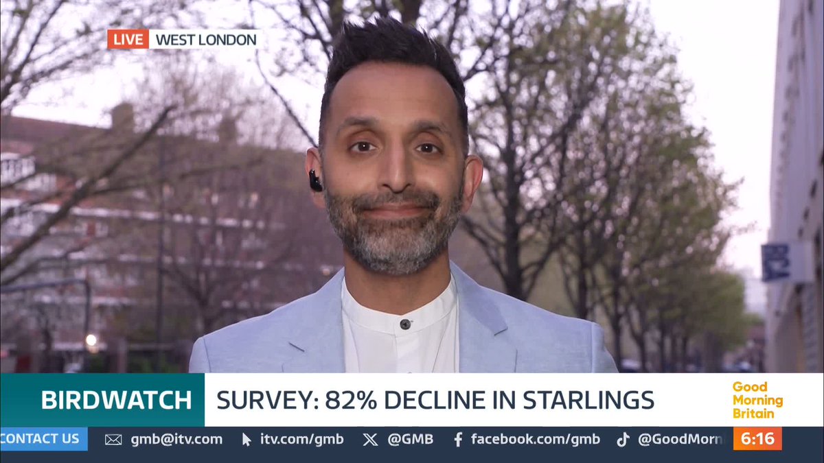 The lowest number of starlings on record has been reported in the RSPB's annual Big Garden Birdwatch scheme. The charity says there's been an 82% decline in the number spotted this year. Dr Amir Khan GP reveals why.