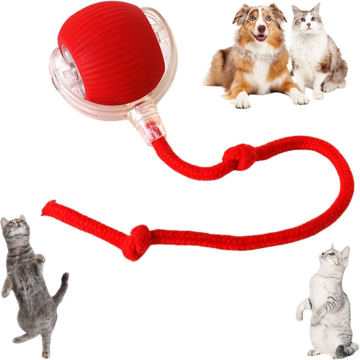 My cats are obsessed with this little interactive ball toy. ➤