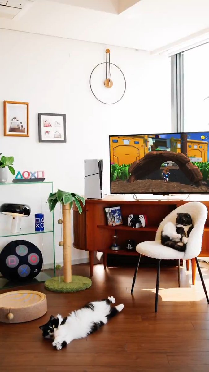 本日は #ペットの日！ 最愛のペットと一緒に幸せなプレイステーション®ライフ🐾 ペットと一緒にゲームをする時のあるあるを教えてください😸
