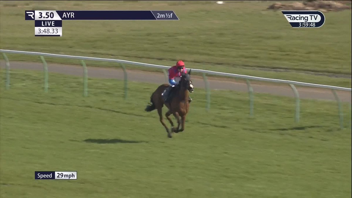 Asta La Pasta wins by a country mile to add another £8k to the kitty for team Skelton Dan Skelton Racing | Harry Skelton | Ayr Racecourse