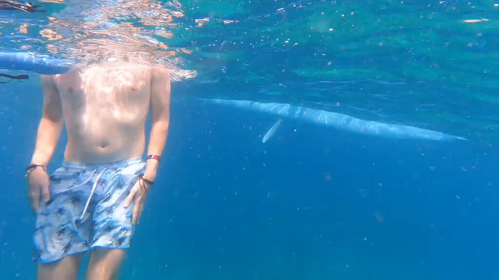 I’m telling y’all, this is why I STAY OUT OF THE OCEAN