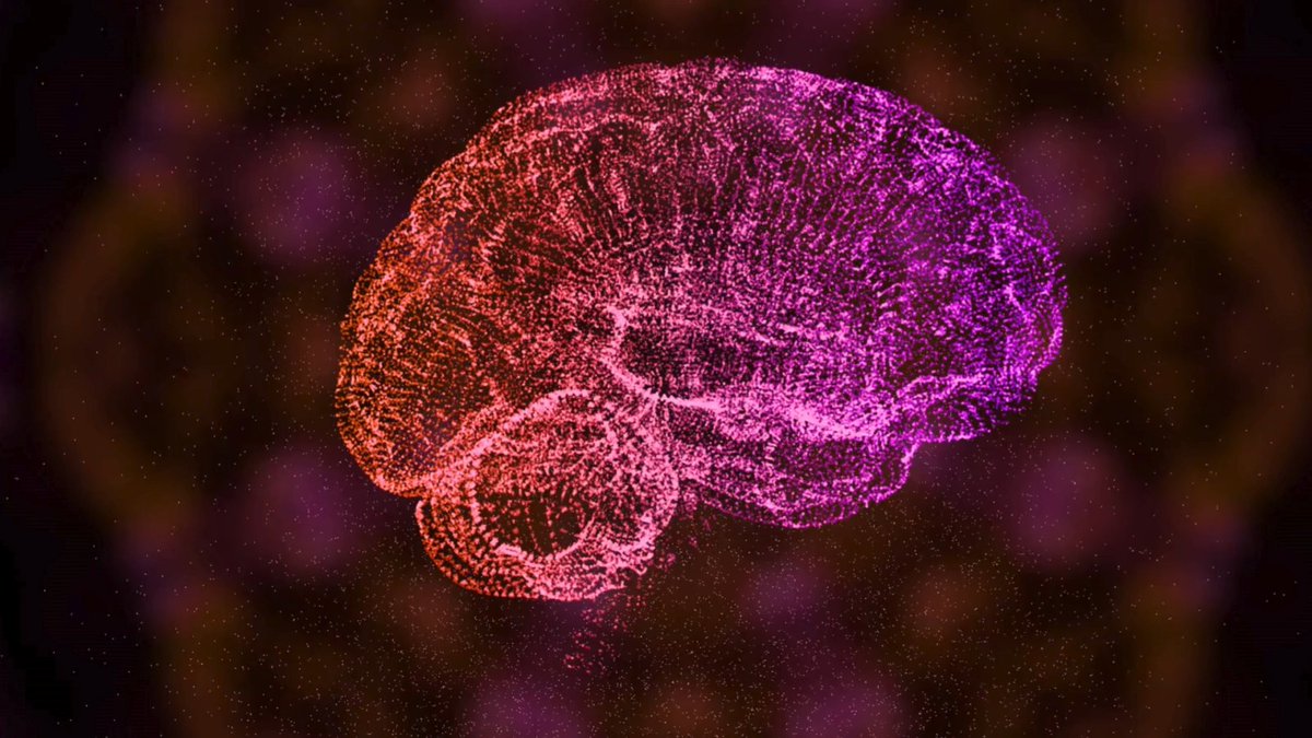 This NIH-supported breakthrough is a critical piece of foundational science to build toward understanding how our brains process visual information to reconstruct the images we see every day.