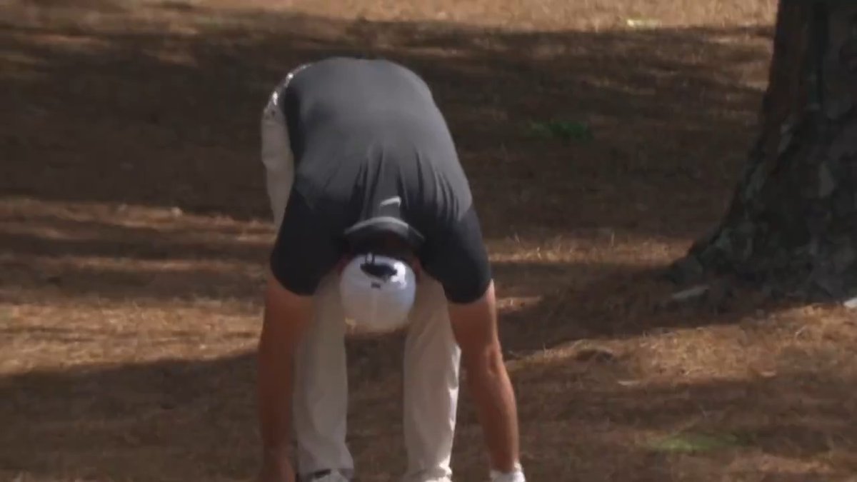 RORY FROM THE PINE STRAW. EAGLE. LFG.