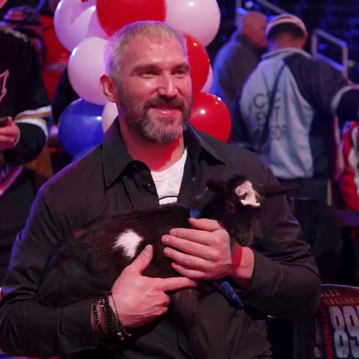 When two goats meet 🐐 And they're both named Ovi 😆 (📹 Washington Capitals)