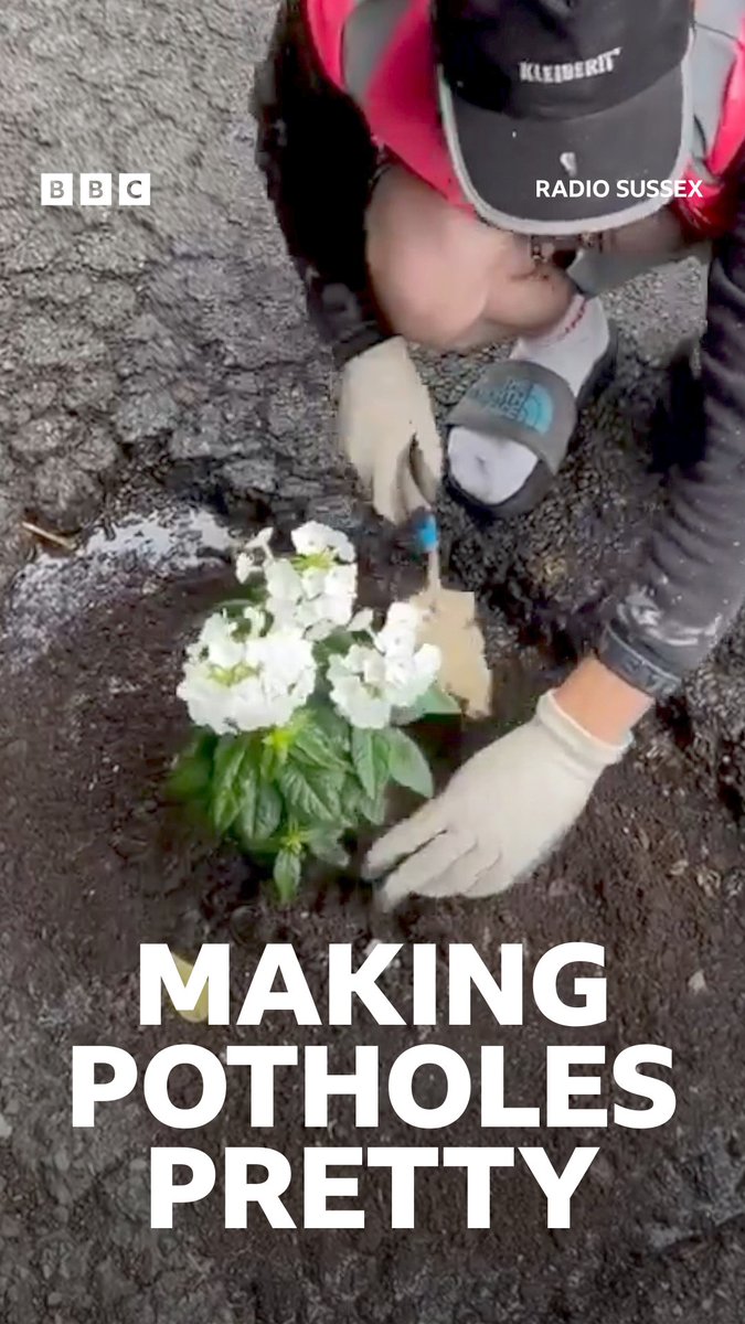 A landscape gardener has been planting flowers in potholes in Horsham draw attention to their "hideous" state.