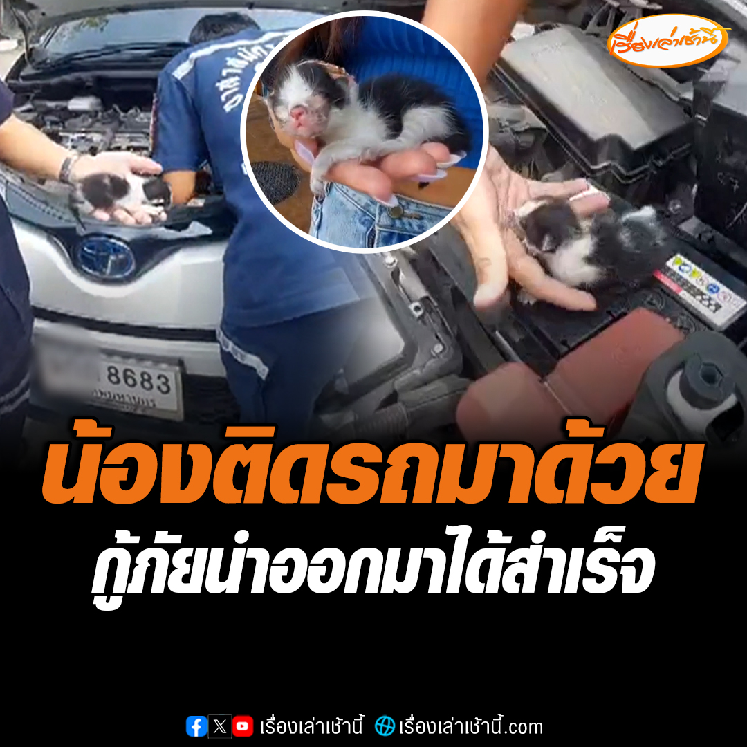 กู้ภัยรุดช่วยลูกแมวติดในห้องเครื่อง พบเป็นแมวแรกเกิด เจ้าของรถเผย รถคันนี้มีแมวหลงเข้ามาในห้องเครื่อง 5 ครั้งแล้ว ครั้งนี้ถูกชะตาขอนำไปเลี้ยงเอง #เรื่องเล่าเช้านี้ #ข่าวช่อง3 #ข่าวภูมิภาค #ลพบุรี