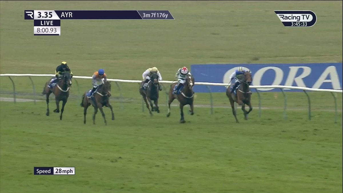 Captain Cody wins the Coral Scottish Grand National for Willie Mullins and Harry Cobden 🏆 Ayr Racecourse