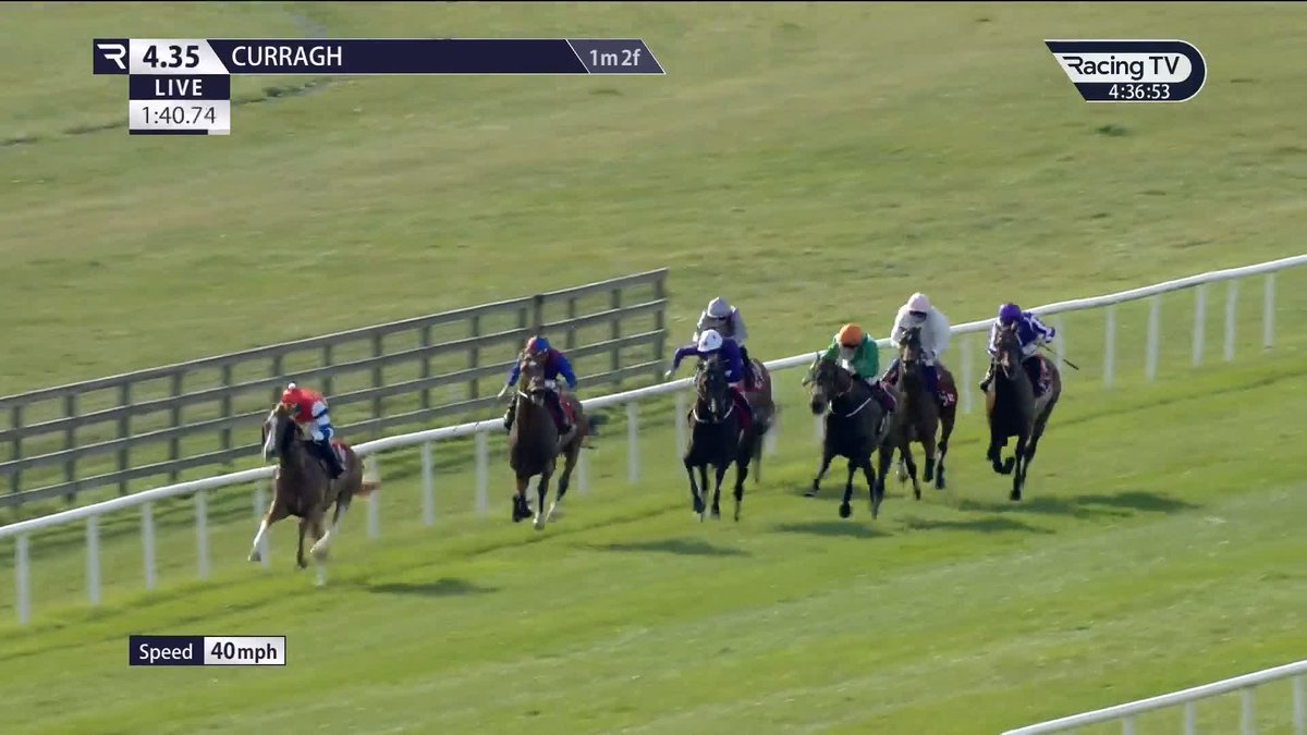 😳 JAN BRUEGHEL gives Ryan Moore a nightmare ride from start to finish for Aidan O'Brien in the Alleged Stakes. He's hung like a barge all the way up the straight and acted like a real monkey, a really disappointing run from the St Leger winner.