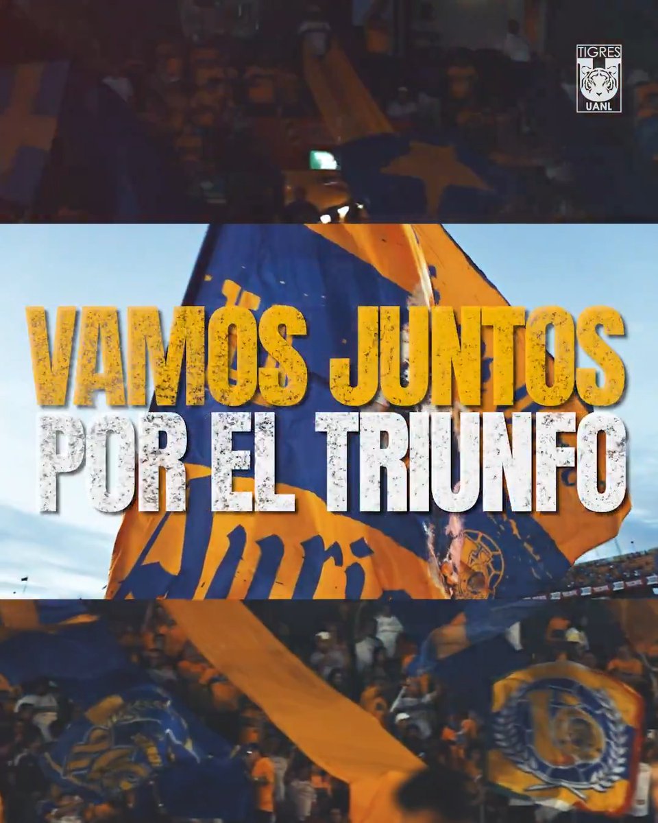 𝑨𝒍 𝒎𝒂𝒓𝒈𝒆𝒏 𝒅𝒆𝒍 𝒓𝒆𝒔𝒖𝒍𝒕𝒂𝒅𝒐... ¡𝑽𝒂𝒎𝒐𝒔 𝒍𝒐𝒔 𝑻𝒊𝒈𝒓𝒆𝒔, 𝒄𝒂𝒓𝒂𝒋𝒐!