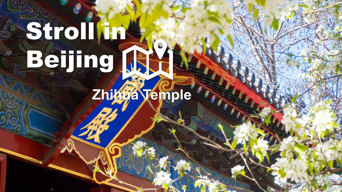 #ZhihuaTemple, the best-preserved Ming Dynasty wooden structure in #Beijing, is renowned for its pear blossoms that bloom every April. Accompanied with the ritual Beijing Music, visitors experience over 500 years of heritage—a unique visual and auditory experience. #VisitBeijing