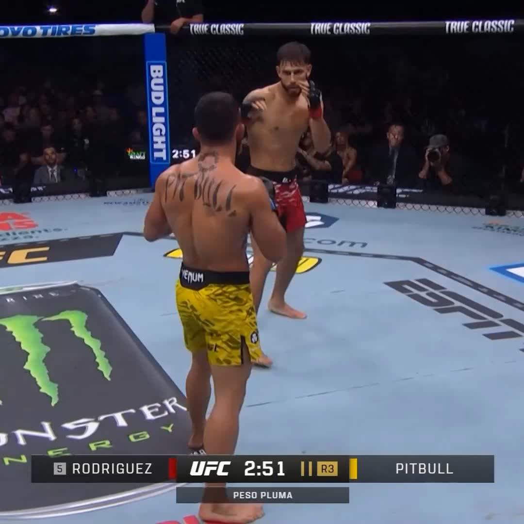 Uffff PANTERA! #UFC314 🚨🚨