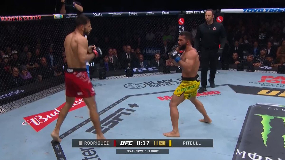 ヤイール×パトリシオは判定へ！ #UFC314