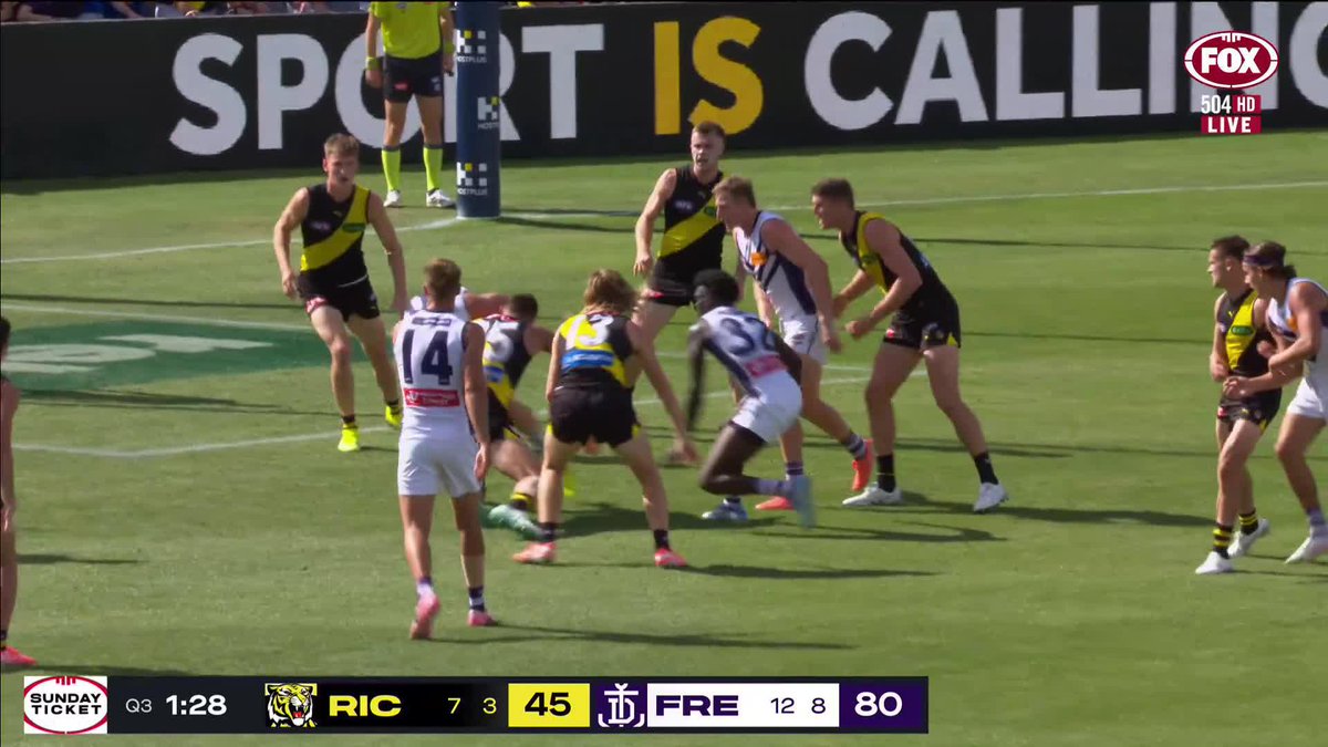 Patrick Voss with the DO NOT ARGUE. And didn't he love it 😂 📺 Watch #AFLTigersFreo LIVE on ch. 504 or stream on Kayo: ✍️ BLOG 🔢 MATCH CENTRE