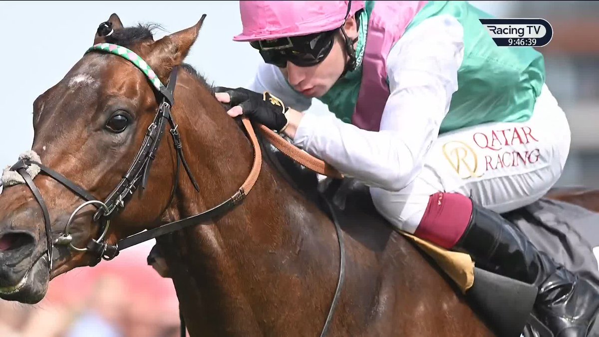 🗣️"It was the manner he done it." Barry Mahon from Juddmonte gives us the latest on Jonquil and Cosmic Year. #LuckOnSunday | Nick Luck | World Pool