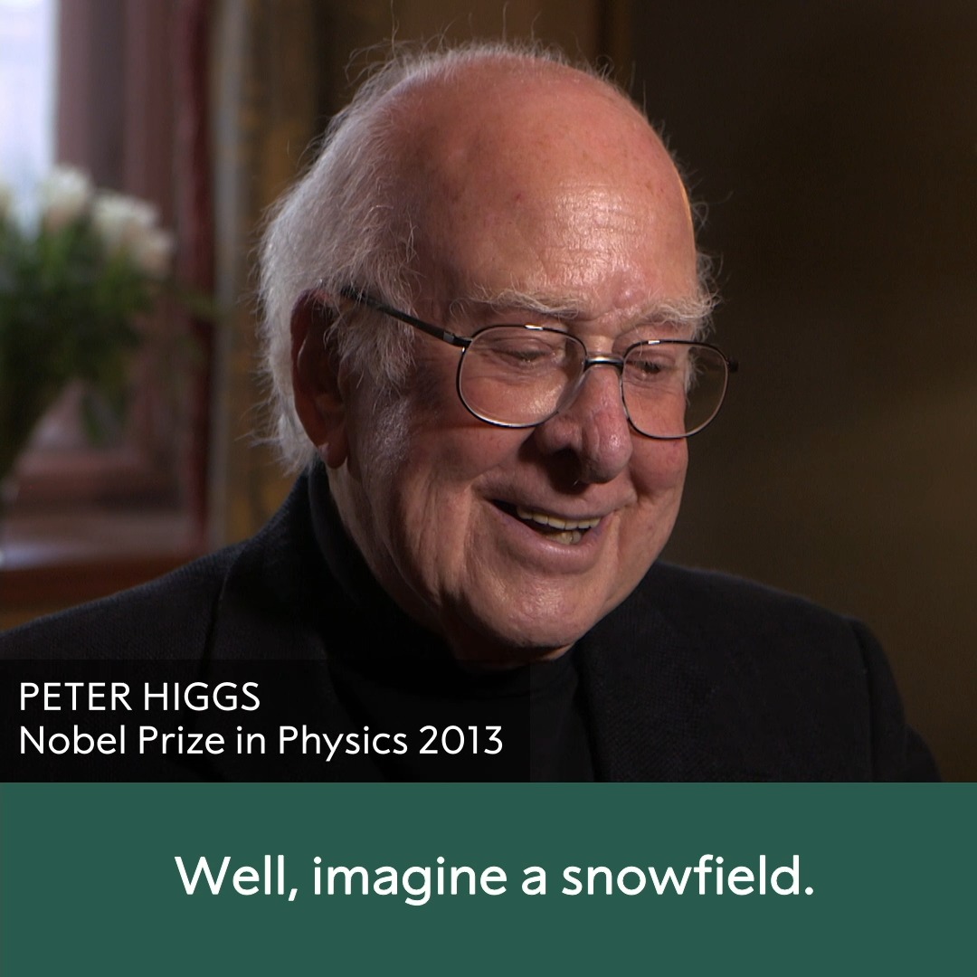 "Imagine a snowfield..." We asked Peter Higgs to describe the Higgs field - which gives particles in our universe mass - in a simple way. Higgs was awarded the 2013 Nobel Prize in Physics along with François Englert for the theory of how particles acquire mass.