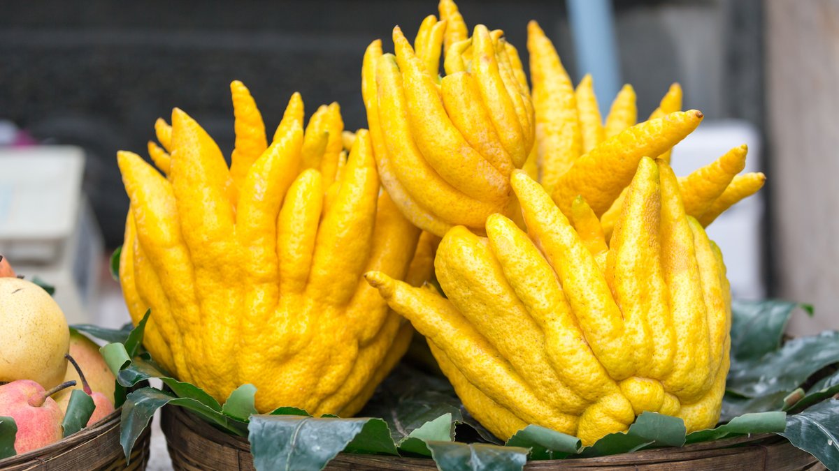 Why Buddha's hand citron is so expensive