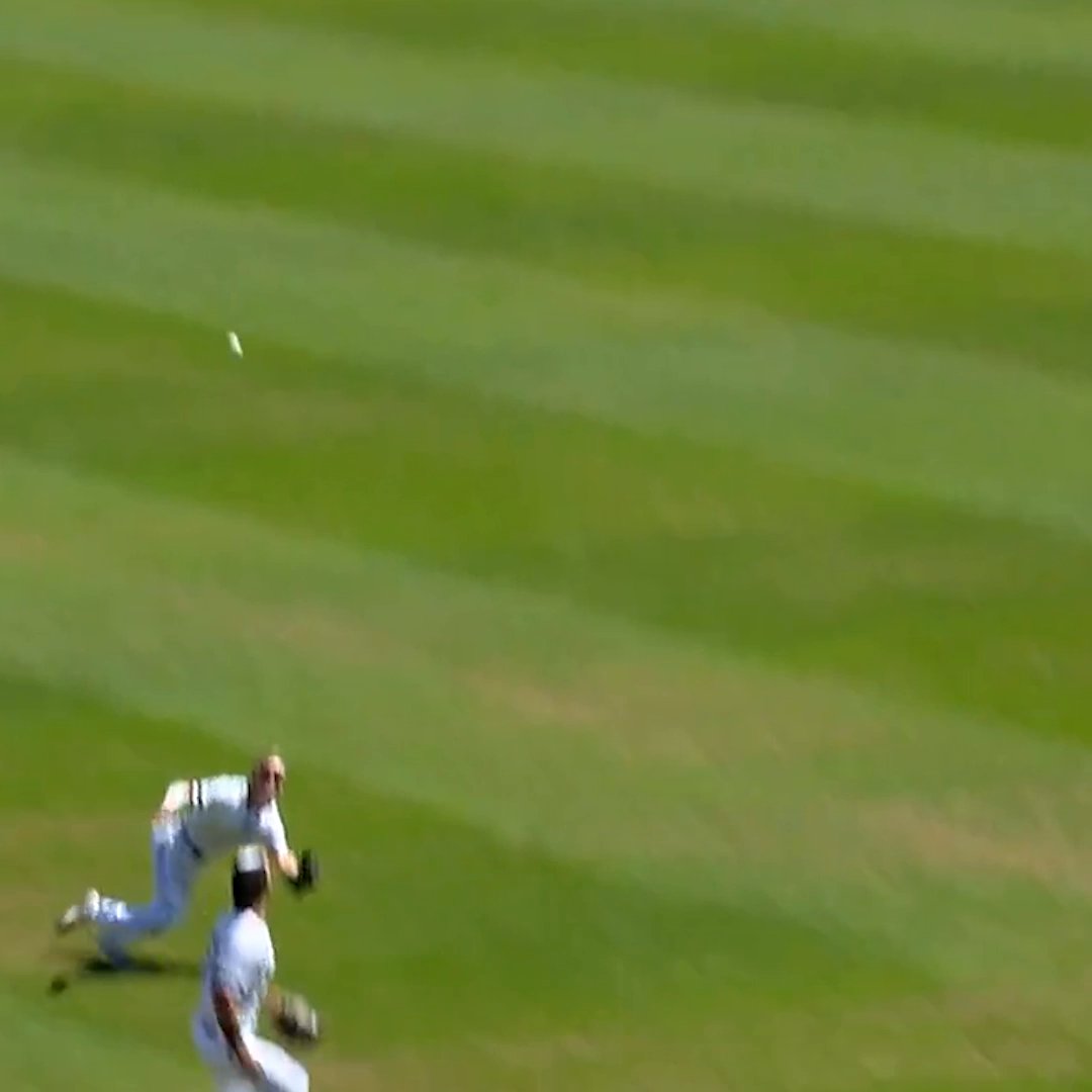 LUKE NIXON. WHAT A CATCH 😱 #SCtop10 | NC State Baseball