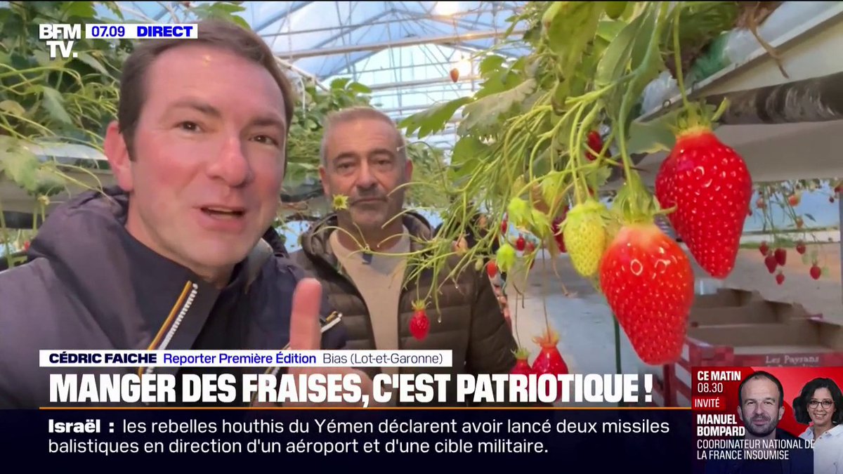 💬 "Il faut aider la fraise française" 🍓 Face à la concurrence espagnole, les 15 prochains jours seront la période idéale pour acheter des fraises françaises Cédric Faiche
