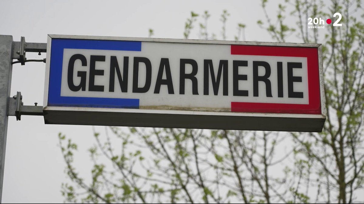 En France, les fermes clandestines servant à faire pousser du cannabis se multiplient. En 2024, douze d’entre elles ont été démantelées. ▶️ #JT20H
