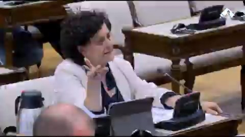 · El exministro Montoro: "Señora..." · Pilar Vallugera (ERC): "No, señora no. O señoría o diputada. No me llame señora" · Montoro: "Vaya, yo soy señor Montoro..." · Vallugera: "No, no le he llamado nunca señor a usted" · Montoro: "¿Es ofensivo?" · Vallugera: "Con su tono sí"