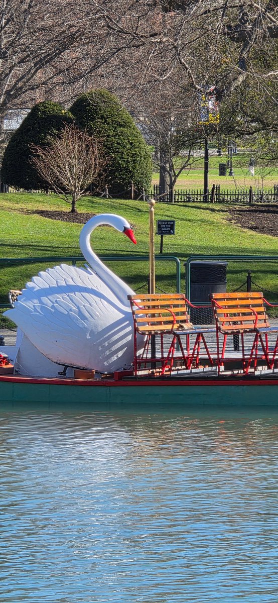 ALERT: The Swan Boats have made their annual return to Boston today. 🤍