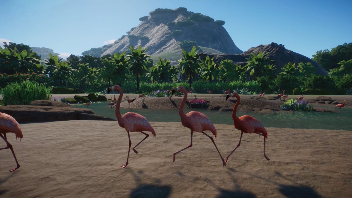 🦩 AMERICAS ANIMAL PACK COMING TOMORROW 🦩 You can also save up to 75% on Planet Zoo and up to 50% on our other DLC packs in the Frontier Publisher sale.