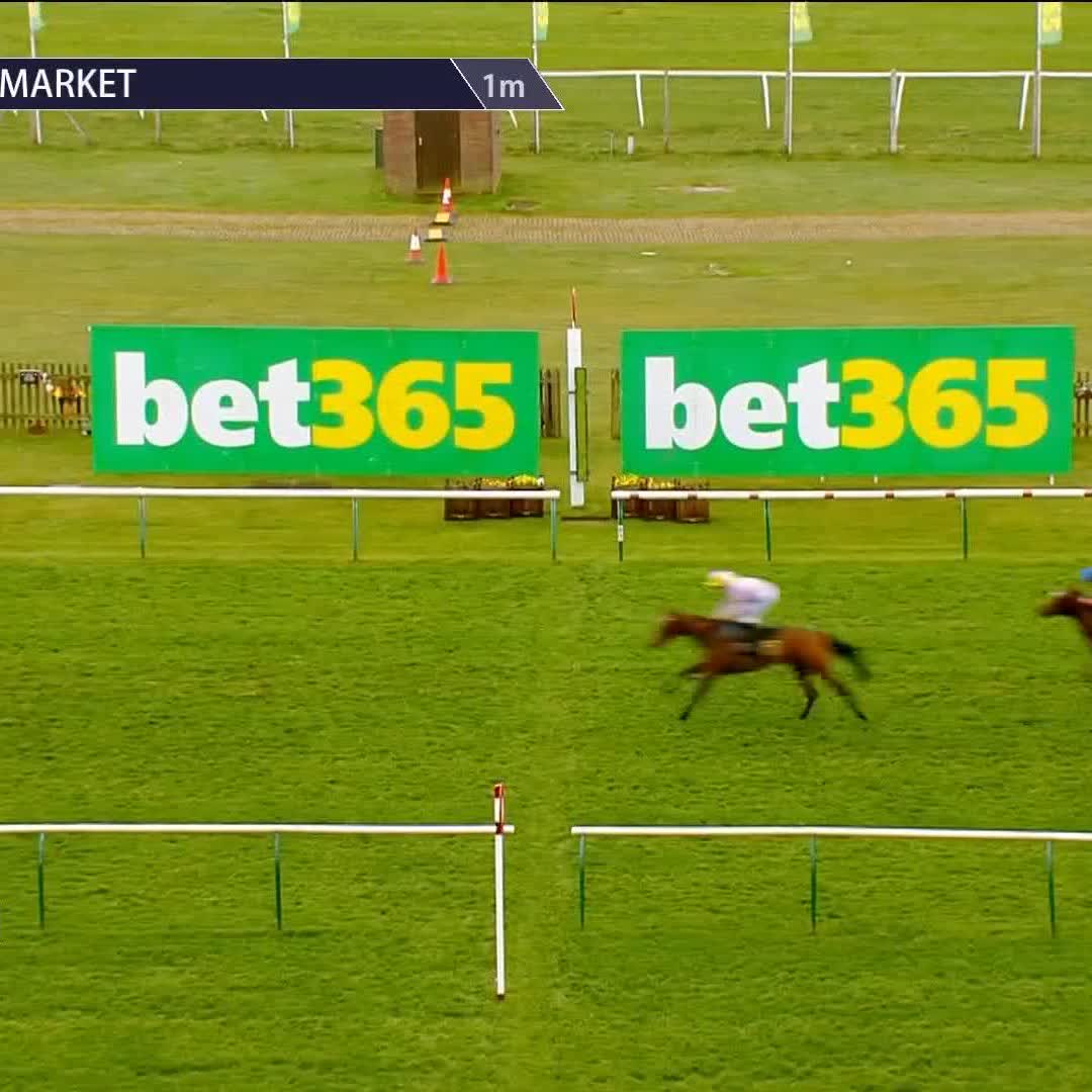 ✅ Daughter of Kingman ✅ Half-sister to 2000 Guineas hero Coroebus ✅ Winning debut 🔵 Nice from Victory Queen at HQ